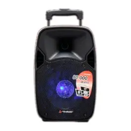 Caja Amplificada 8" Italy Audio con Batería