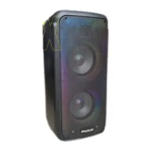 Parlante Recargable Tonex 2N1 de 10"
