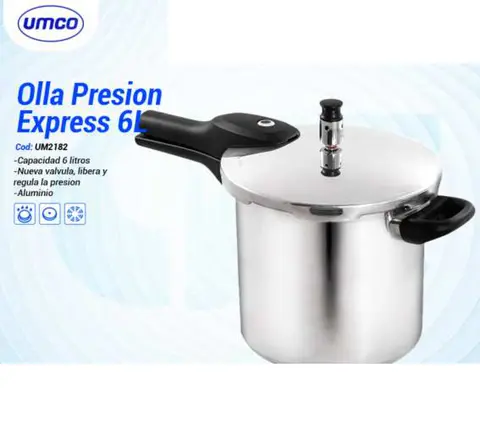 Olla Presion Express 6L