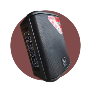 Caja Amplificada Recargable Beta 4