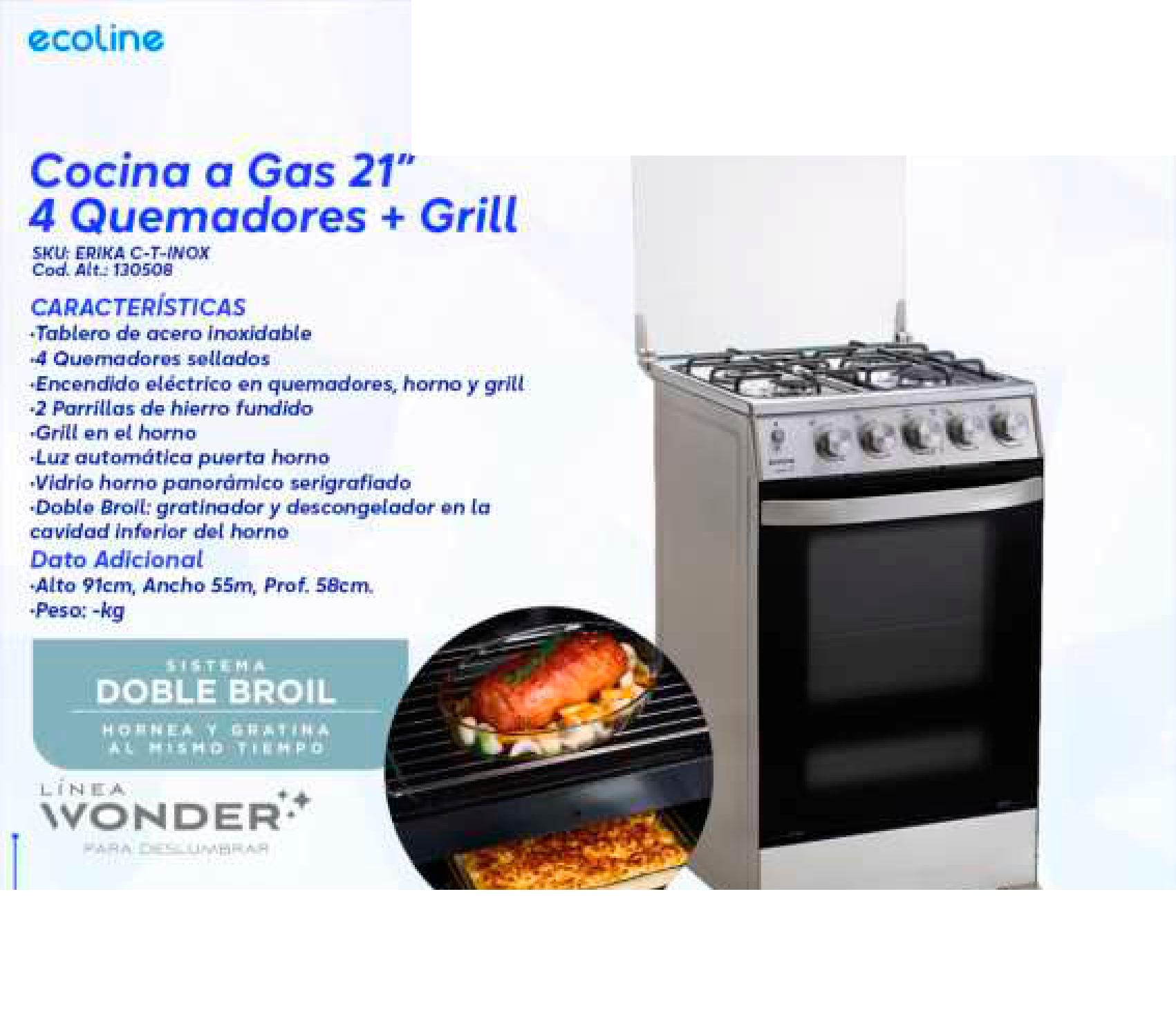 Cocina a Gas 21